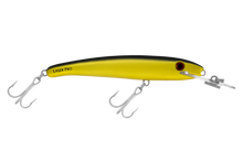 Load image into Gallery viewer, Halco Laser Pro 120DD